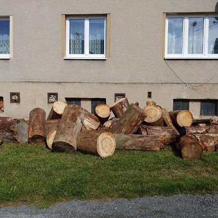 Apartament Marta P Detrichov Nad Bystrici Zewnętrze zdjęcie