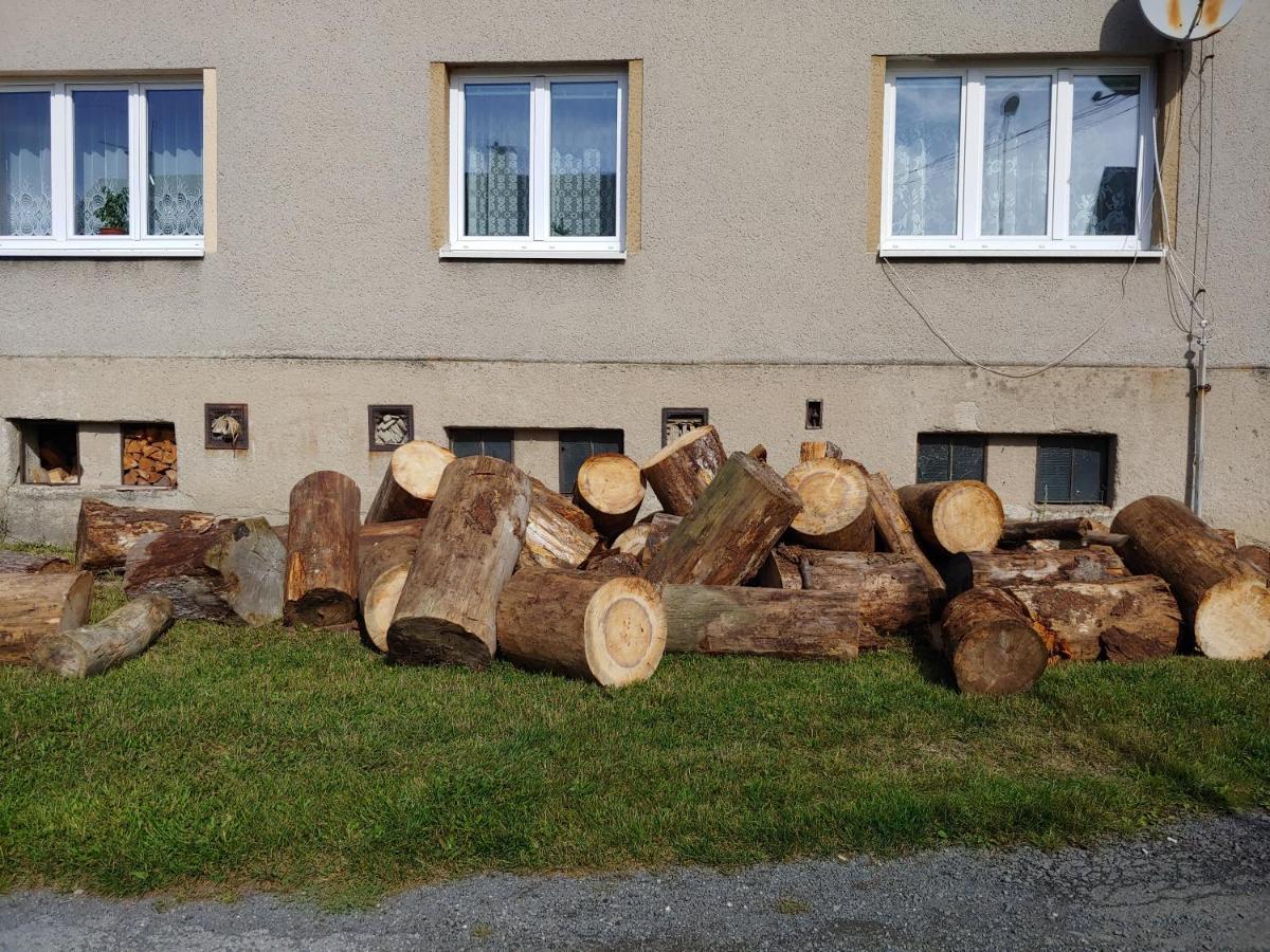 Apartament Marta P Detrichov Nad Bystrici Zewnętrze zdjęcie